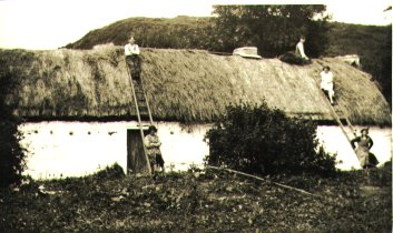 hayroof.jpg (26875 bytes)